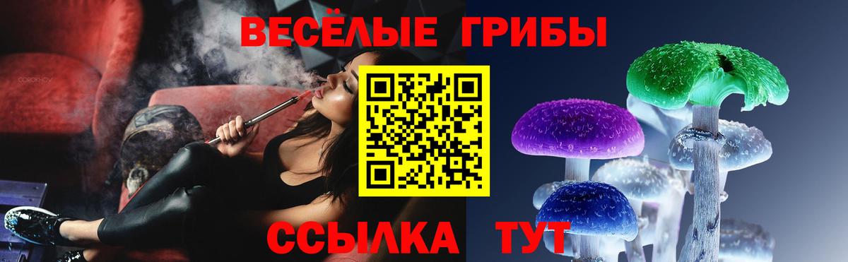 Нефтекумск  Галлюциногенные грибы GOLDEN TEACHER  Вход с VPN  Галлюциногенные грибы прущие грибы 