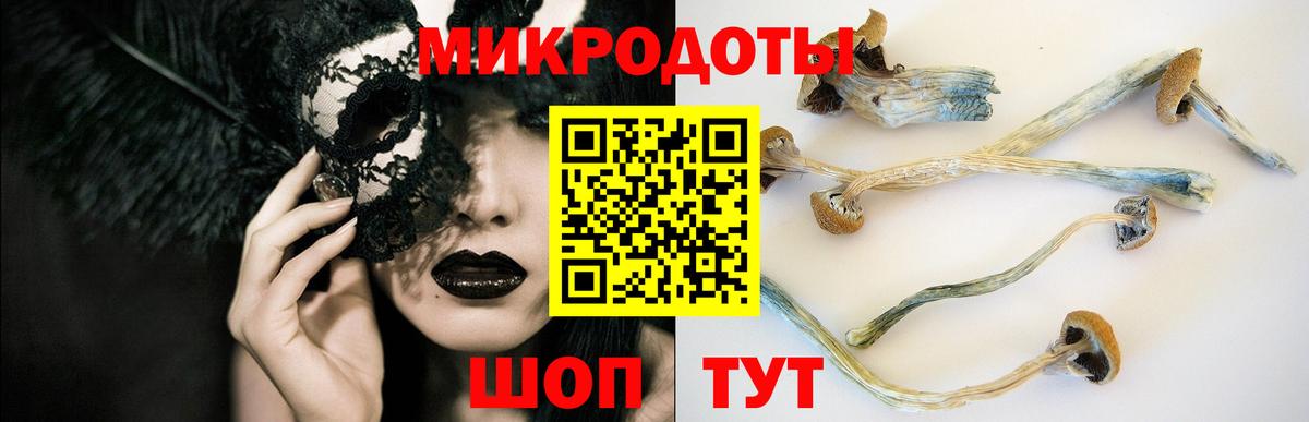 Галлюциногенные грибы GOLDEN TEACHER Нефтекумск